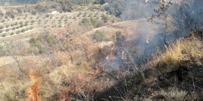 Les incendies de forêt dans le Vaucluse
